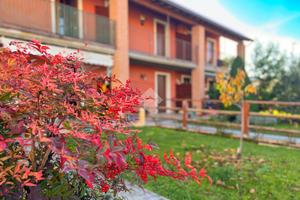 6 LOCALI A COLOGNOLA AI COLLI