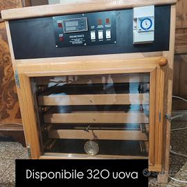 INCUBATRICE PROFESSIONALE 320 UOVA