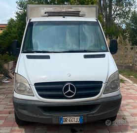 Mercedes Sprinter 311 CDI Isotermico Frigo