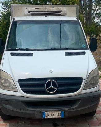 Mercedes Sprinter 311 CDI Isotermico Frigo