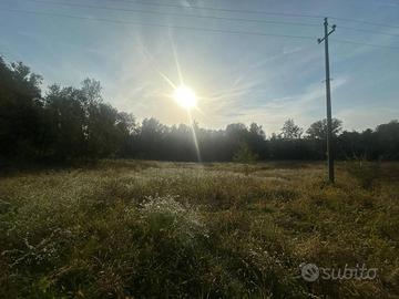 Terreno di 6555 m² a Nibionno