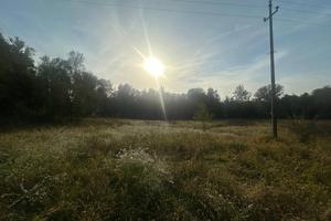Terreno di 6555 m² a Nibionno