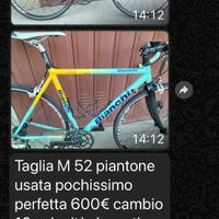 Bici strada bianchi