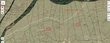 Terreni boscati in foresto loc. gafforelli alta