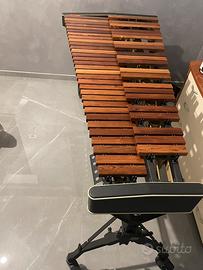 Marimba Adams Solist