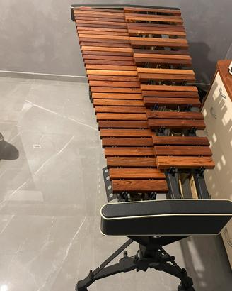 Marimba Adams Solist