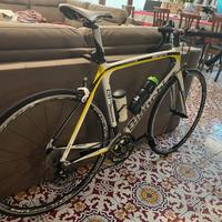 Bianchi Sempre taglia 55