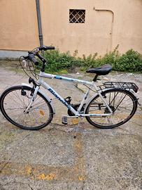 citybike bianchi 28