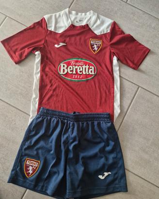 completino Torino Fc 