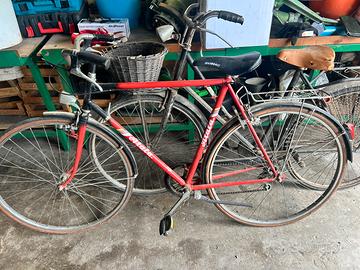 Atala  fiandre
