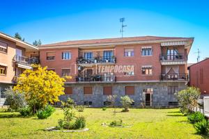 TROLOCALE CON BOX AUTO E CANTINA