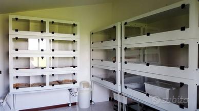 Terrari Modulari Espandibili per Rettili