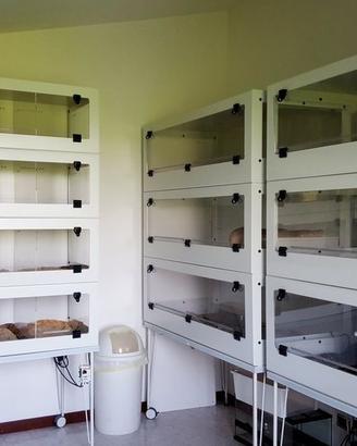 Terrari Modulari Espandibili per Rettili