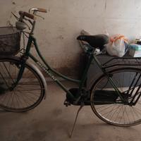 Bicicletta da donna 26