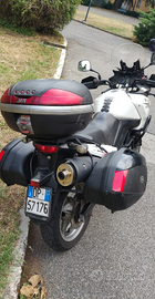 Suzuki V Strom ' Old Giapponese school '