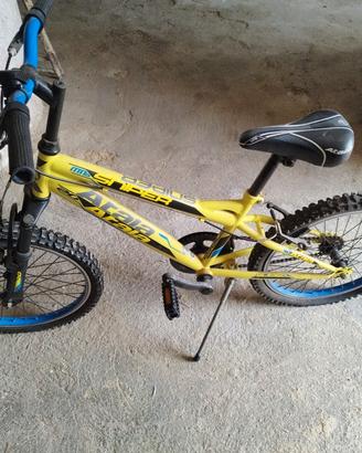 MTB atala bambino