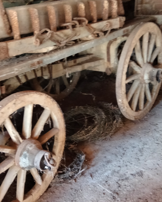 Carro agricolo in legno