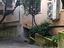 Immagine 2