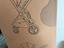Immagine 6