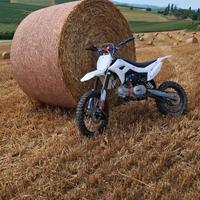 Pit bike PBS 125