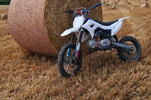 Pit bike PBS 125