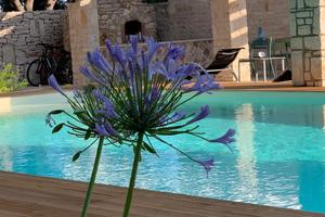 Villa La Pineta