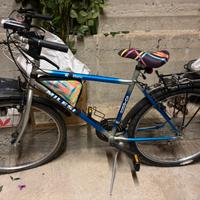 Bicicletta mountan bike MILESI
