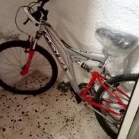 Bici da passeggio