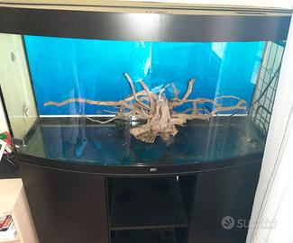 Acquario 260 litri Juwel Vision
