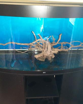 Acquario 260 litri Juwel Vision