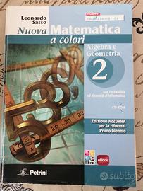 Nuova matematica a colori 2 algebra geometria