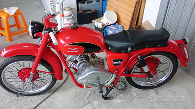 Guzzi cc.175 Lodola anno 1953