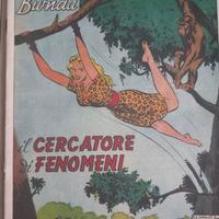 Fumetti Pantera Bionda 1949