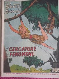 Fumetti Pantera Bionda 1949