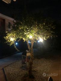 lampada solare