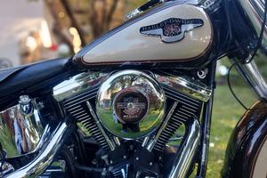 Fat boy  95th Anniversary 