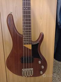 Basso elettrico Washburn RB 2000