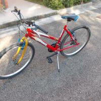 bicicletta