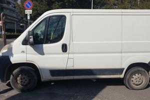 Ducato Fiat  anno 2012
