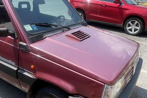 Fiat Panda 4x4 (141)