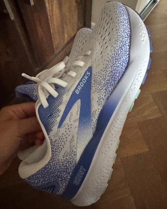 Brooks ghost 16