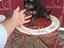 Immagine 1