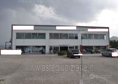Attività Commerciale Calvi [A4348745]