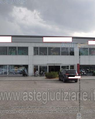 Attività Commerciale Calvi [A4348745]