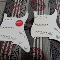 Due battipenna completi provenienza Fender Squier