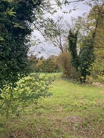 Campo agricolo seminativo ad Aviano