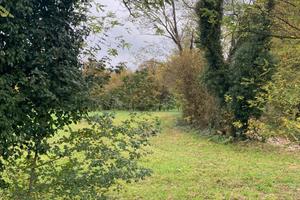 Campo agricolo seminativo ad Aviano