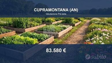 Immobile in asta di 64708 m² a Cupramontana