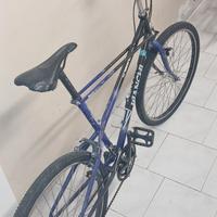  bicicletta mtb