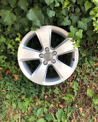 4 Cerchi originali audi 3-4 17 pollici